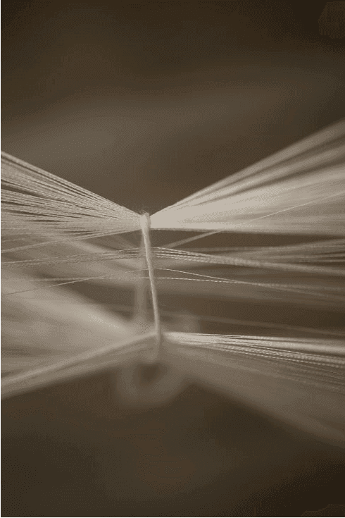 Considered Materials